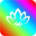 幻彩宝莲灯 v6.10.16