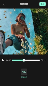 motionleap专业版图3