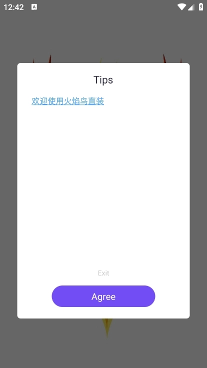 火焰鸟直装版图1