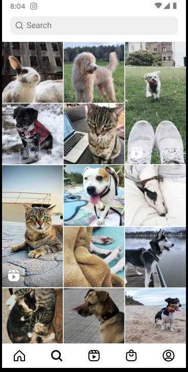 instagram最新版截图2