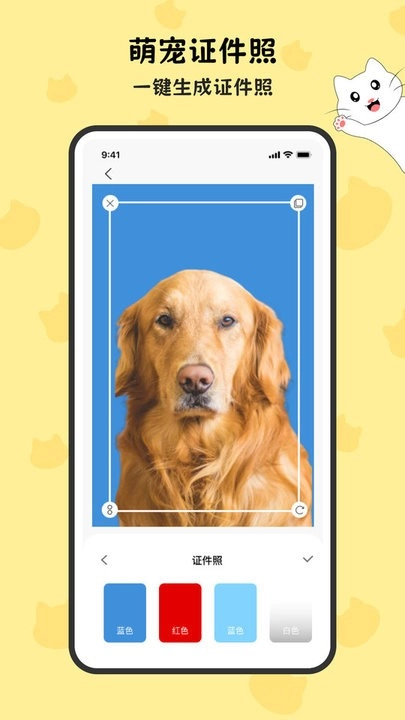 免费表情包制作软件