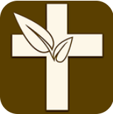 伴读圣经免费正版