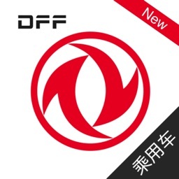 东风金融乘用车版