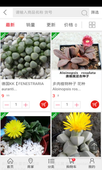 多肉植物图3