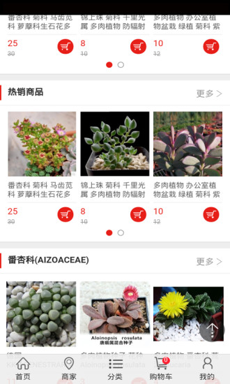 多肉植物图4