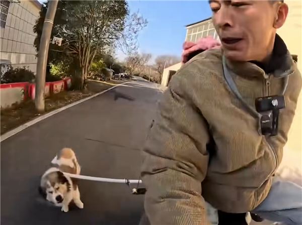骑车时总担心被狗追赶？一男子发明车载打狗棒，网友：既实用又搞笑