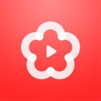 梅花视频免费版