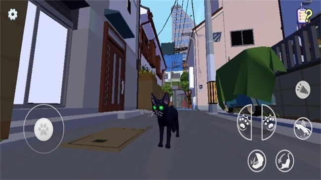 小猫咪大城市免实名版