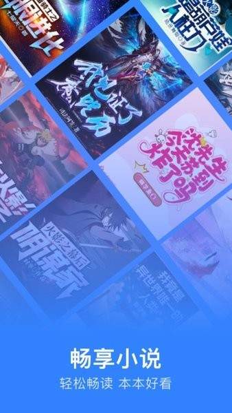 追阅小说阅读器