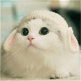 过客软件园正版