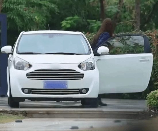 痞幼恋综座驾并非老头乐，经纪人透露实为租赁的豪车阿斯顿・马丁“小天鹅”