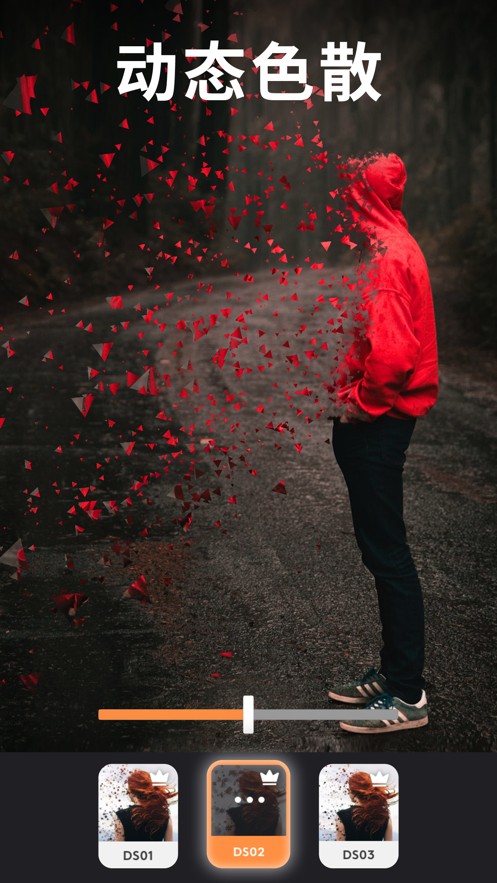 Pixaloop专业免费版(1)