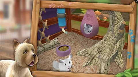 我的动物寄养所(3)