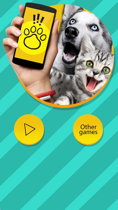 宠物对话翻译器汉化版