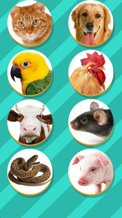 宠物对话翻译器汉化版