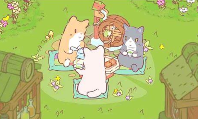 猫咪浓汤的魔法配方