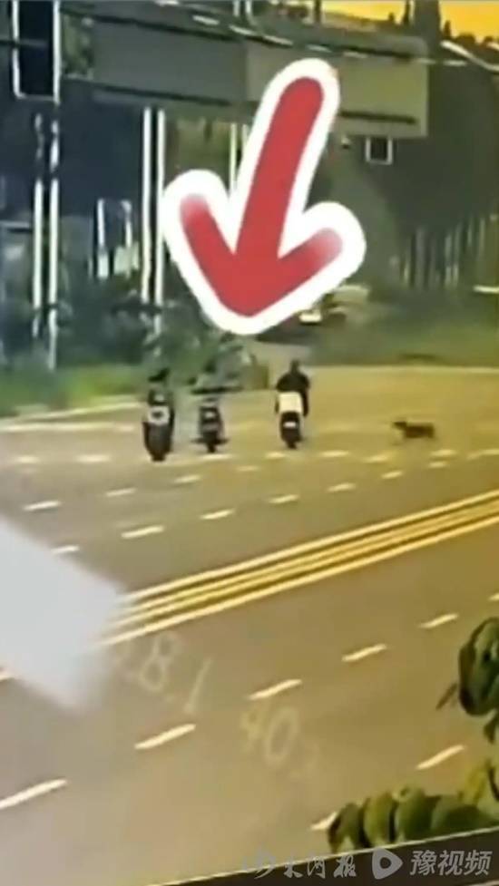 女子遭大狗撞倒不幸离世，五个月过去赔偿仍无着落，丈夫因过度劳累住进ICU