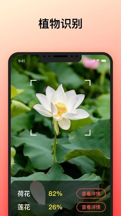 智能识别大师免费版