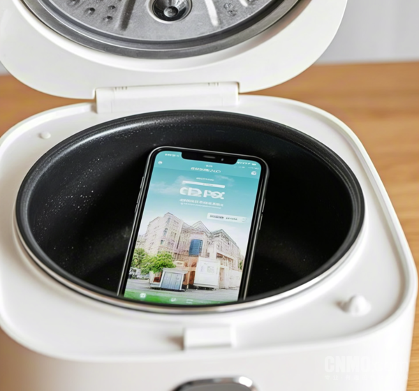 电饭锅“法拉第笼”抢票被辟谣：实则背道而驰降低成功率