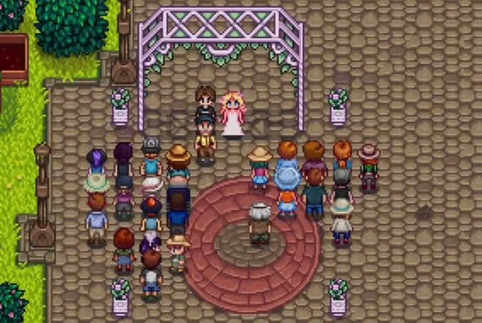 星露谷物语中何处能找到海莉？海莉所有出现地点汇总