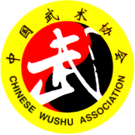 中国武术安装手机版