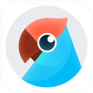 有道翻译官最新版