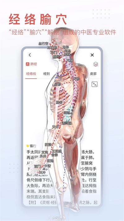 3dbody解剖免费版