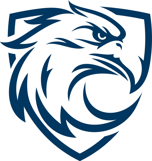 蓝鹰影视安卓版 