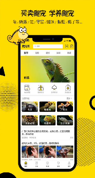爬宠网最新版