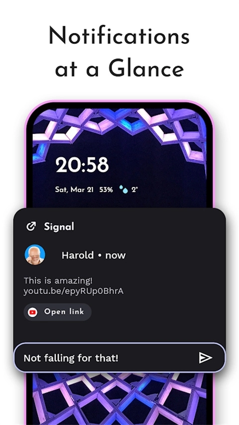 niagara launcher最新版图3