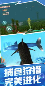 海洋霸主进化记安装