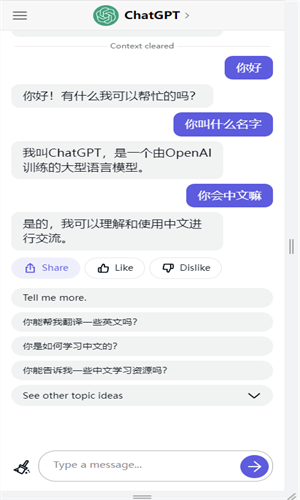 ChatGpt免费最新版截图1