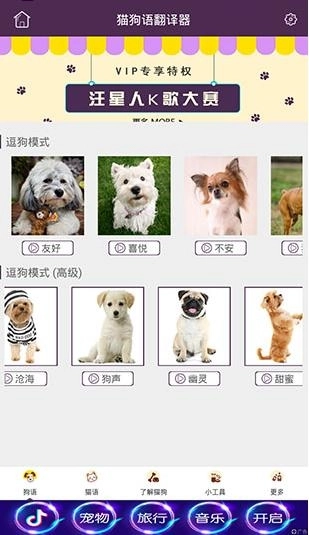 猫狗语翻译器