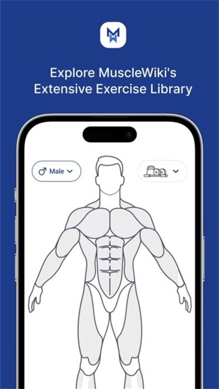MuscleWiki中文版截图3