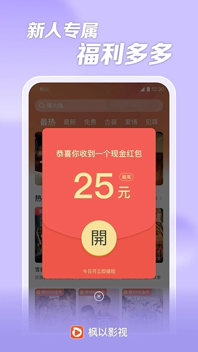 枫以视频赚钱版-图3
