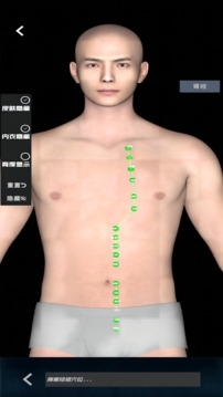 子午经络安卓版图2