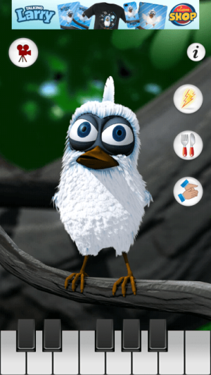 会说话的拉里鸟最新版