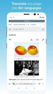 kiwi浏览器手机版图2