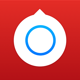 小决定转盘中文版