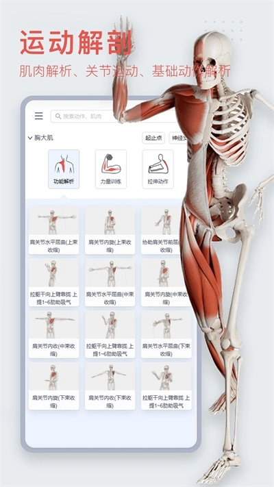 3dbody解剖免费版
