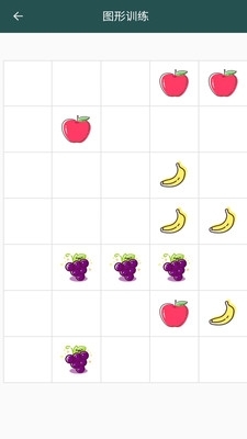 照相机记忆训练