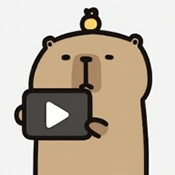 卡皮巴拉播放器安装