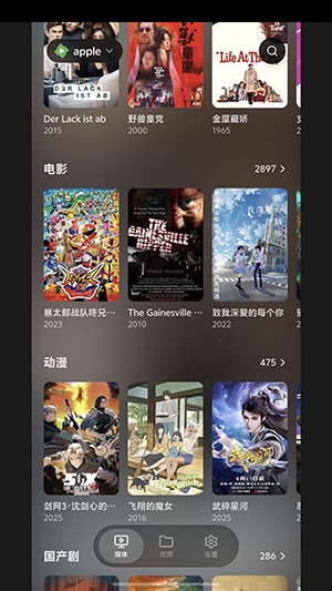 卡皮巴拉播放器安装图2