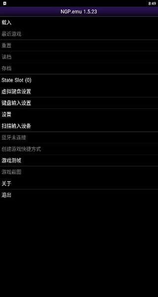 NGP模拟器截图0