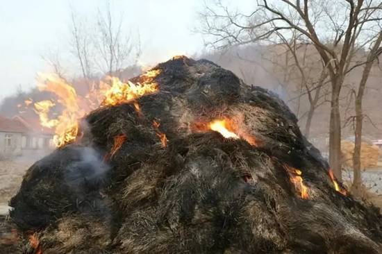 75岁老人因生活琐事积怨放火烧山，被判处有期徒刑11年