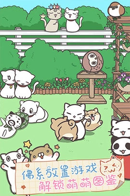 猫咪饲养日常(3)