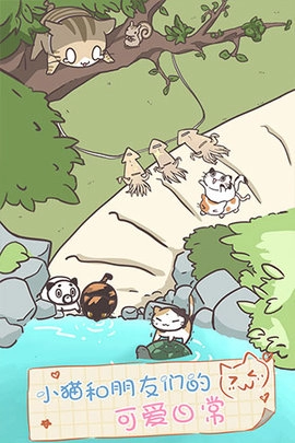 猫咪饲养日常(4)