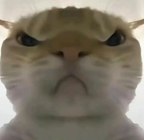 三角洲行动鼠鼠工具