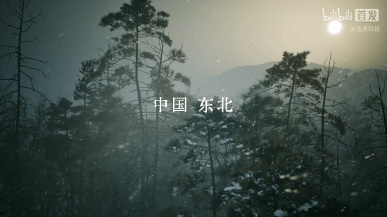 国产抗日题材FPS游戏《抵抗者》实机演示公开！握紧武器，我们就是抵抗者！