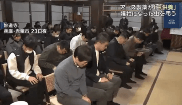 日本杀虫剂企业为昆虫举办追悼仪式：为蟑螂蚊子遗像诵经